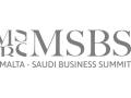 Msbs-logo-grey